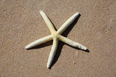 SCUF Gaming发布支持微软XS的新款无线手柄